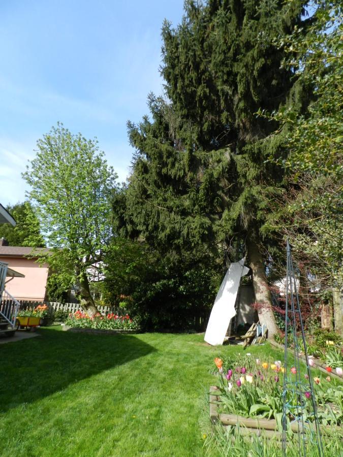 Serenity Bed and Breakfast Burnaby Eksteriør billede