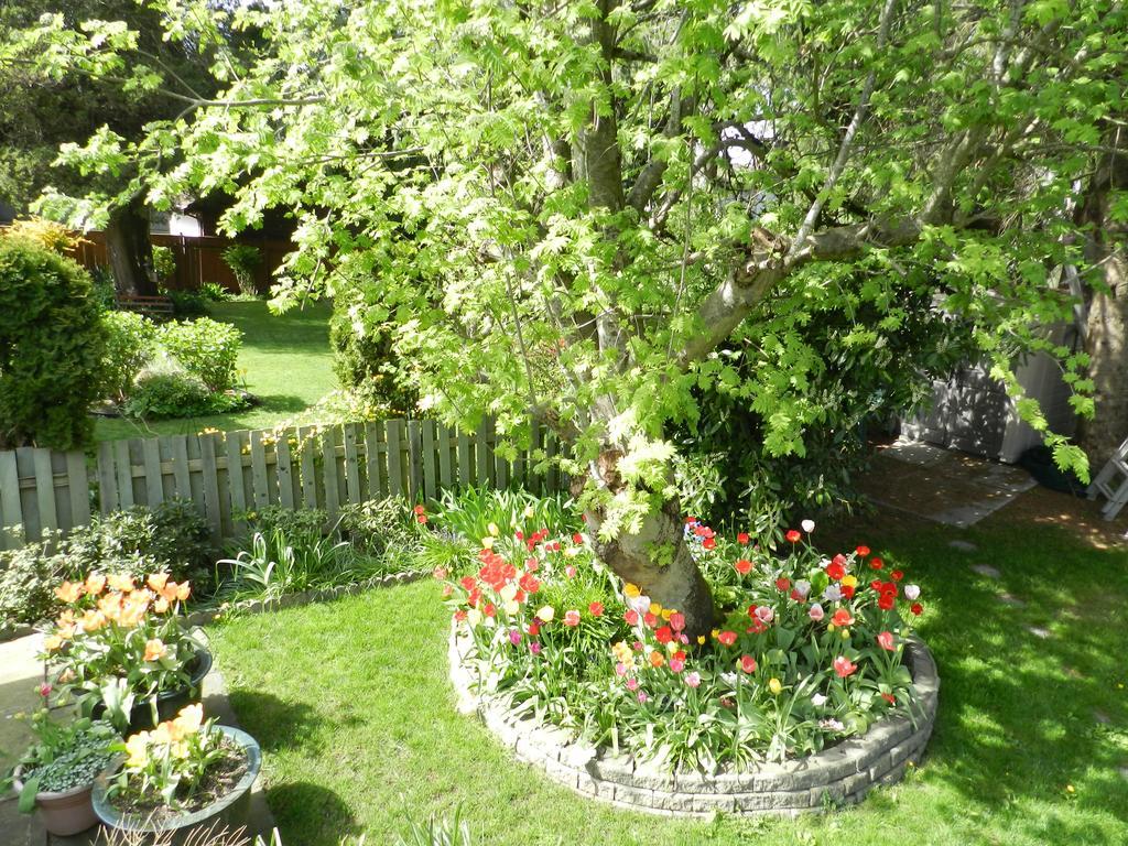 Serenity Bed and Breakfast Burnaby Eksteriør billede