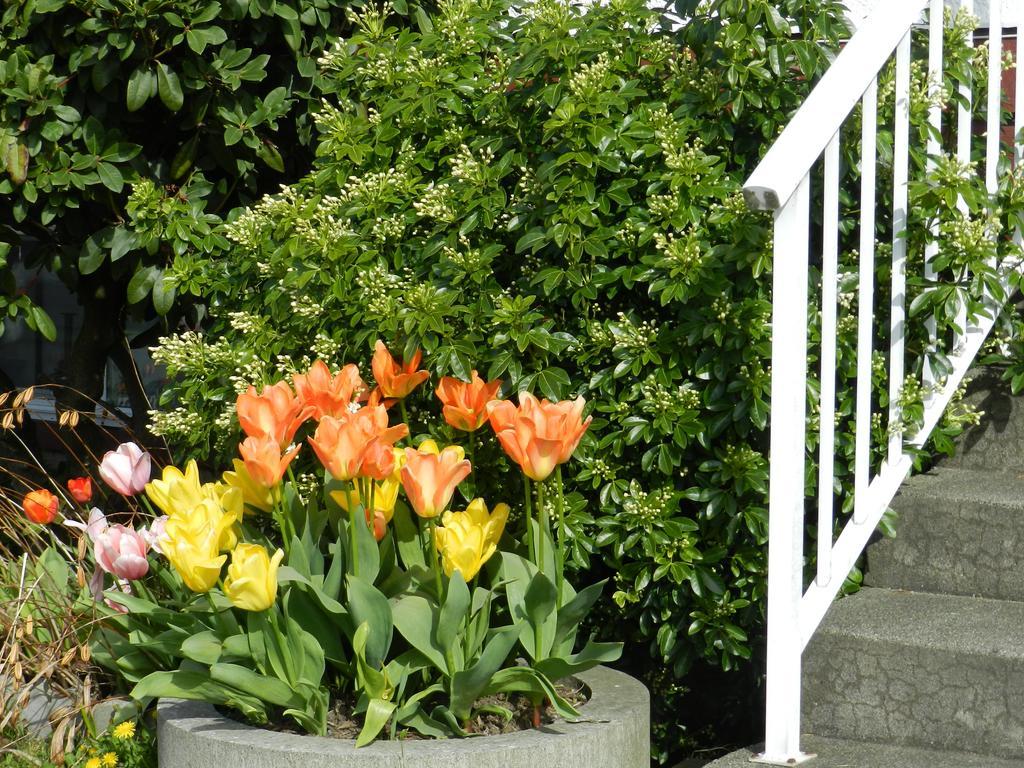 Serenity Bed and Breakfast Burnaby Eksteriør billede