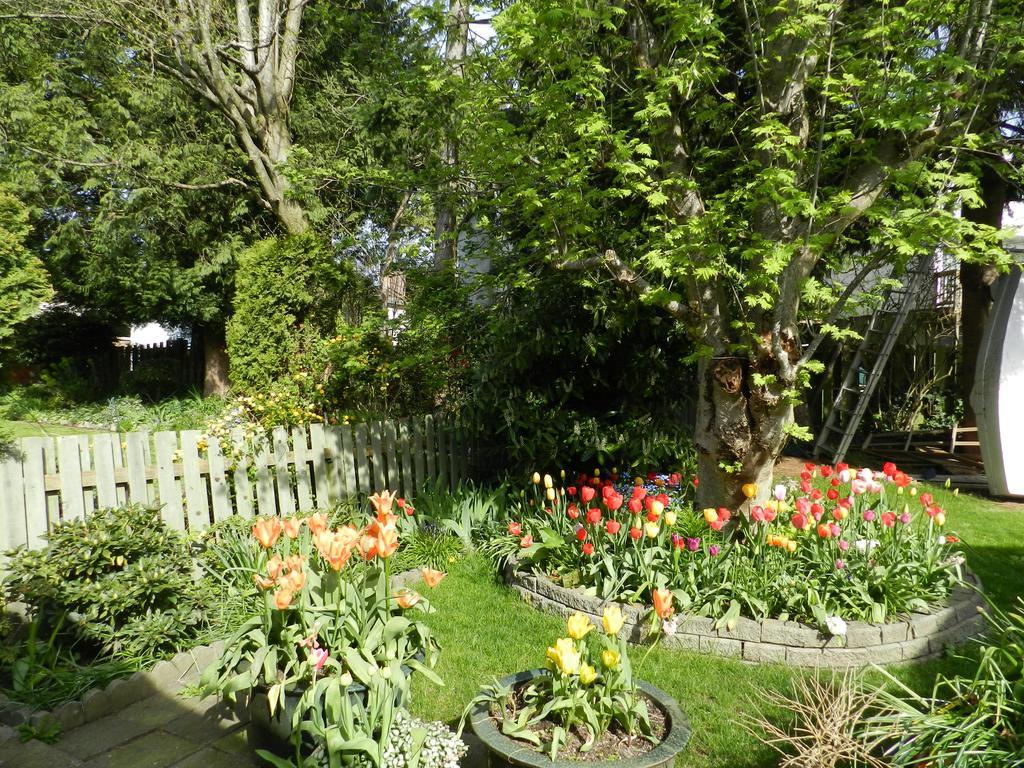 Serenity Bed and Breakfast Burnaby Eksteriør billede