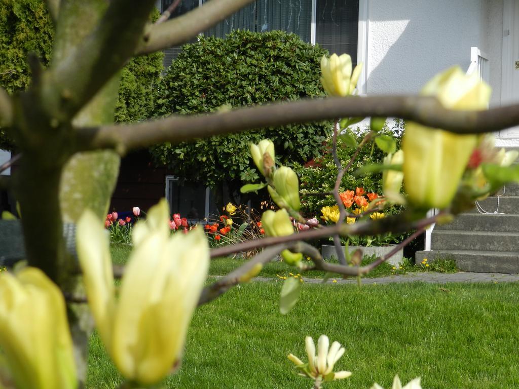 Serenity Bed and Breakfast Burnaby Eksteriør billede
