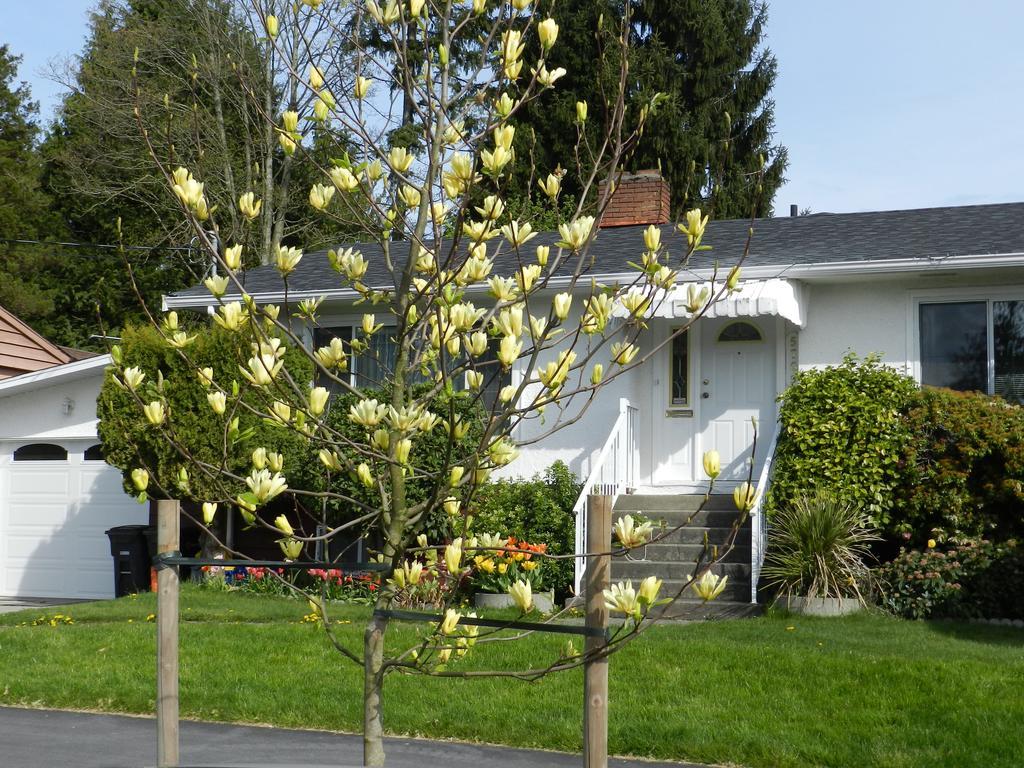 Serenity Bed and Breakfast Burnaby Eksteriør billede