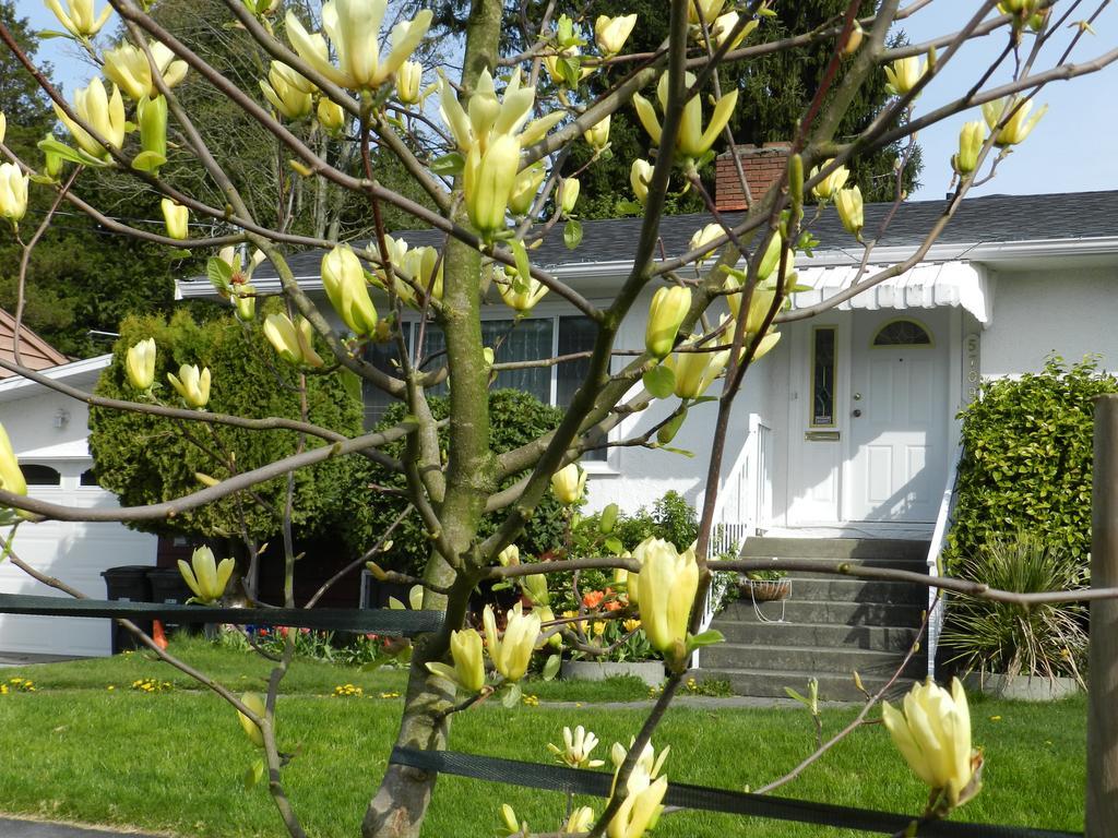 Serenity Bed and Breakfast Burnaby Eksteriør billede