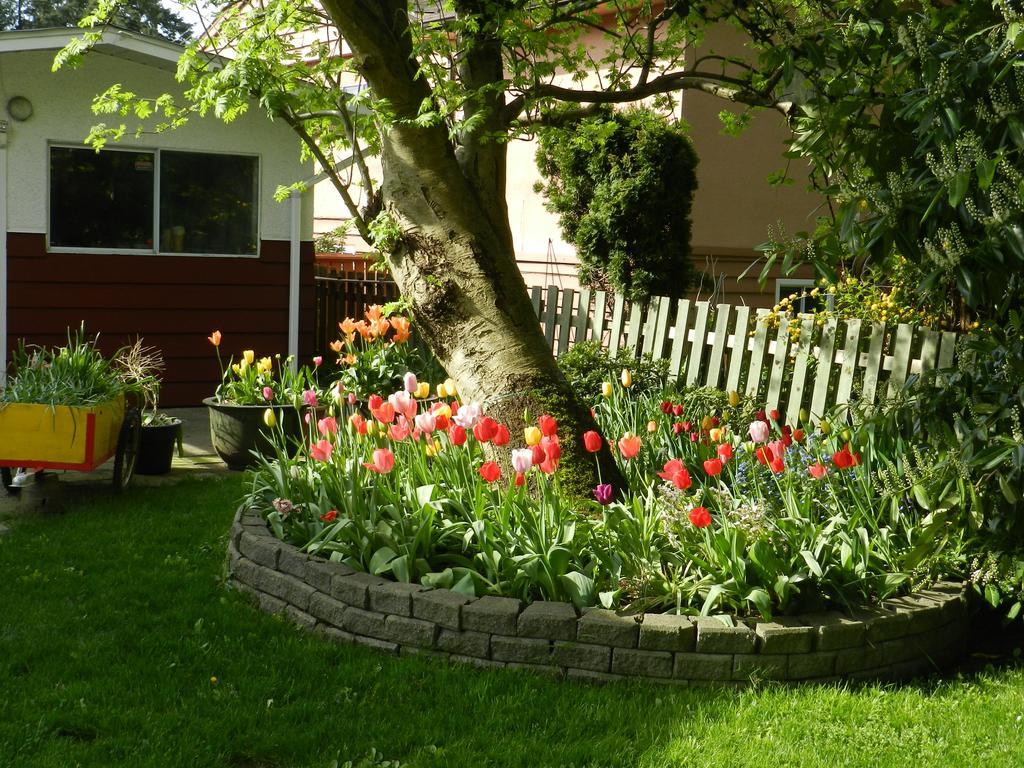 Serenity Bed and Breakfast Burnaby Eksteriør billede
