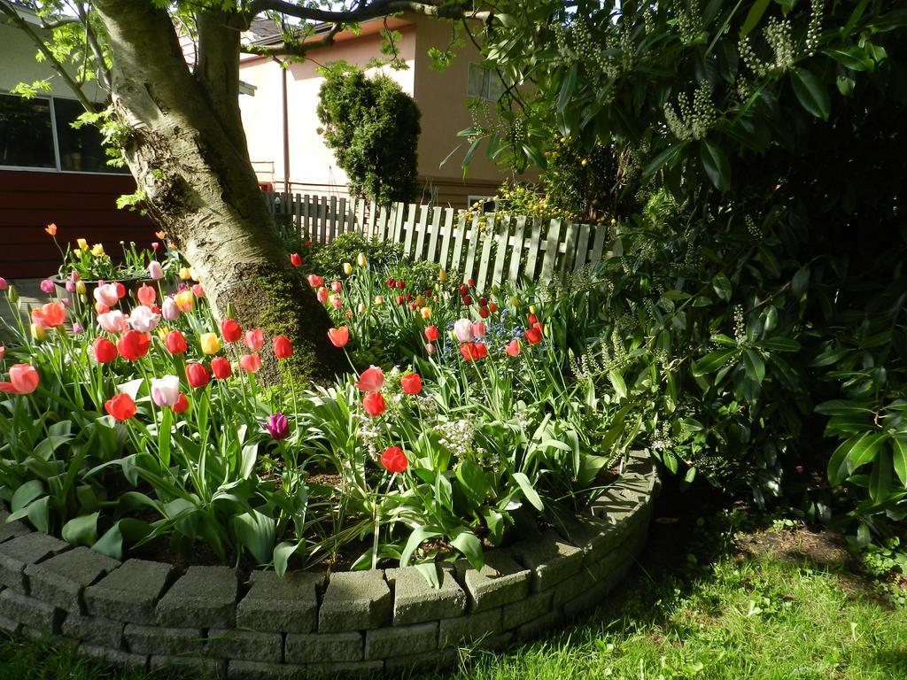 Serenity Bed and Breakfast Burnaby Eksteriør billede